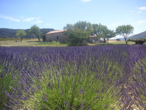 Odpočinek najdete v Provence