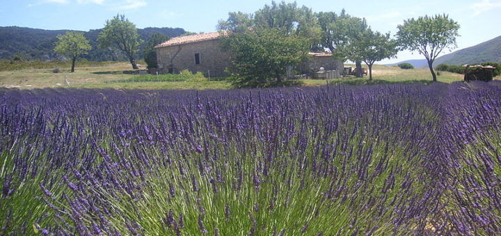 Odpočinek najdete v Provence